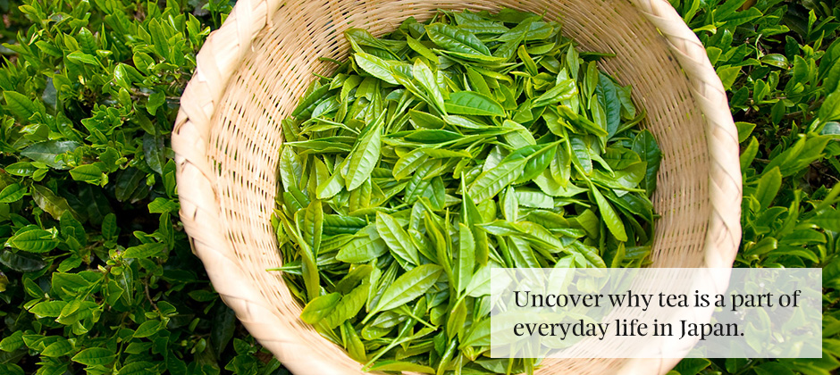 Tea culture in Japan Kuoni Travel